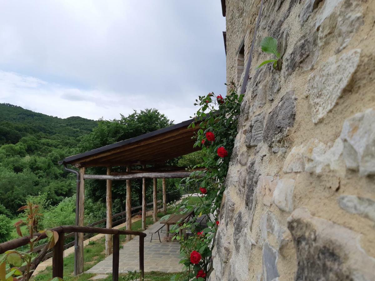 Talacchio Città di Castello Екстериор снимка